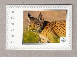 LYNX CUB = Picture Postage stamp MNH-VF Canada 2016 [p16/02-2cb3/3] - Picture 1 of 2