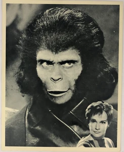 Vintage 70er Pressefoto Schauspieler Kim Hunter Planet der Affen Kira TV Show - Bild 1 von 6