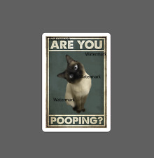 Are You Pooping Sticker Cat Curiosity NEW - Buy Any 4 For $1.75 EACH Storewide!