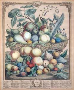 JULY TWELVE MONTH OF FRUIT FLETCHER FURBER ORIGINAL KUPFERSTICH ALTKOLORIT 1732 - Picture 1 of 3