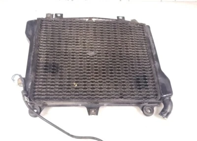 1996 96 Kawasaki GPZ1100 Radiator Free Shipping - Imagem 1 de 4