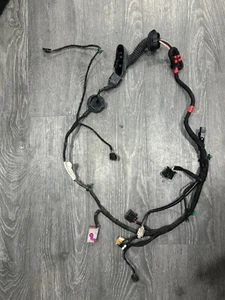 LAMBORGHINI GALLARDO LP560 LP570 PASSENGER RIGHT SIDE DOOR WIRING HARNESS OEM - Bild 1 von 6