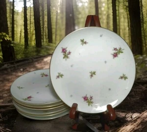 8 Sango Fine China Chintz Muster Dessert Brot Teller 6" - Bild 1 von 7