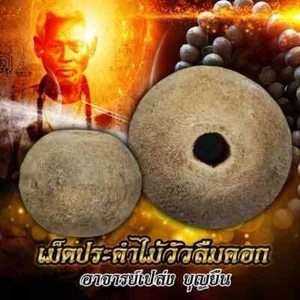 Rare Wooden Prayer Beads Ajarn Pleng Boonyeun Thai Amulet Phrai Charm Attraction - Picture 1 of 10