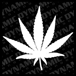 Large Pot Leaf cannabis medical marijuana sticker 420 weed window vinyl decal - Foto 1 di 2