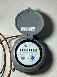 Badger Meter CUBIC FEET WATER METER MODEL LP NR 1116  67250-100 New - Picture 1 of 6