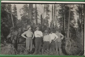 Vintage Minnesota Real Photo RPPC Postcard Dapper Men in the Woods with Horse - Picture 1 of 4