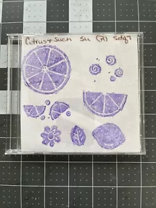 Citrus & Such Set of 7 * Retired Stampin' Up - Picture 1 of 2