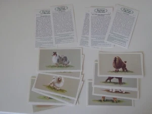 Full Set - 1979 - Top Dogs - Grandee - Picture 1 of 1