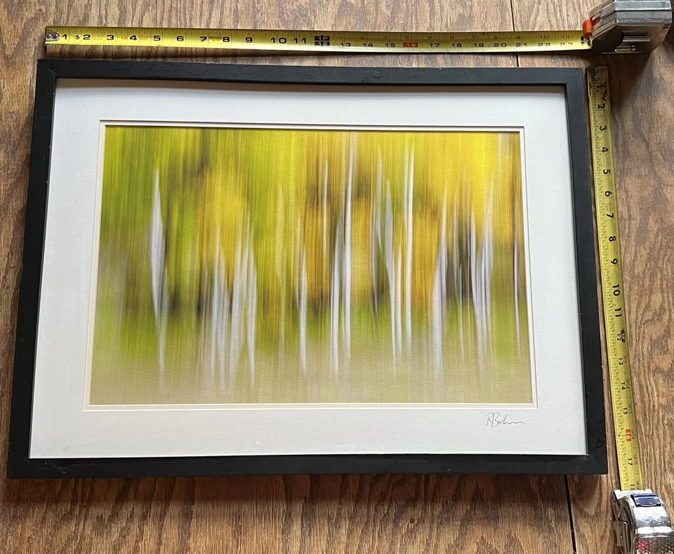 Impresión fotográfica firmada por Rick Buchanan enmarcada grande - Aspen Abstract Colorado Foto 1 de 4