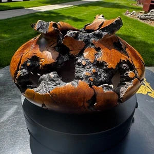 Vintage schöne handgedrechselte Wurzelholz Vase Gefäß Live Edge signiert Steve Cohen - Bild 1 von 8