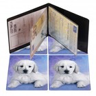 5907720821586 Okładka na dokumenty ucznia pionowa Puppy KM PLASTIK 528919 KM PLA