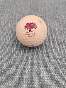 Pelota de golf Carmel Valley Ranch California Club Logo Titleist ProV1-392 (1) usada - Imagen 1 de 6