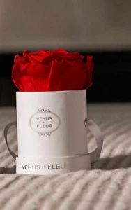 $49 Le Mini Round Rose Venus Et Fleur - Picture 1 of 2