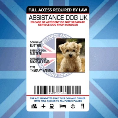ASSISTANCE DOG UK - SERVICE CARD ID BADGE FOR UNITED KINGDOM GREAT BRITAIN ADi - Image 1 of 3