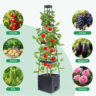 Plant tower tomato tower tomato pot climbing aid breeding tower plant trellis - Image 1 of 4