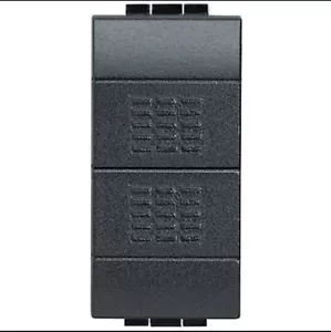 BTICINO LIVING L4036 PULSANTE DOPPIO (1P/NO)+(1P/NO) 10A 250Vac ANTRACITE - Foto 1 di 1
