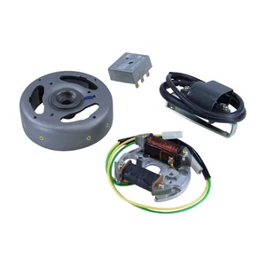 Alternador placa de anclaje 12V giro izquierdo Lima para bobina rectificadora Zündapp - Imagen 1 de 4
