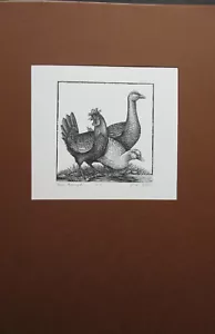 Edwina Ellis. Free Range. Limited ed. signed, Merivale Editions, 1986 - Picture 1 of 2