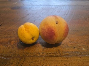 2 Italian Alabaster Hand Carved Stone Fruit Peach Apricot Realistic VTG  - Picture 1 of 18