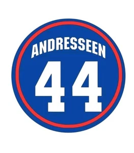 Buffalo Bills Buffalo Joe Andresseen JOSH ALLEN -Bills Vinyl Decal Sticker 2x2! - Picture 1 of 5