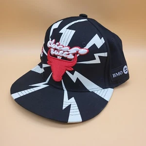 Chicago Bulls Hat Cap Snapback BMO Limited Artist Series Langston Allston - Picture 1 of 10