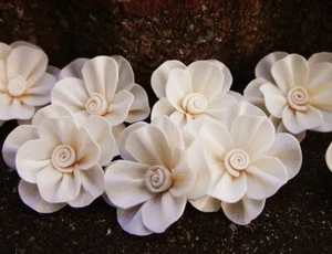 25 New Plum Blossom Artificial Sola Wood Flower Diffuser Flowers 5 cm Dia. - Picture 1 of 5