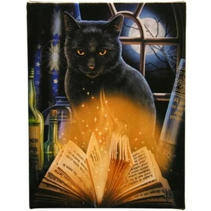 VERZAUBERTES LISA PARKER LEINWAND BILD KUNSTDRUCK GOTH FANTASY SCHWARZ KATZENZAUBERBUCH - Bild 1 von 2