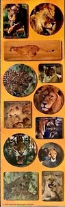 **VINTAGE** National Geographic - Jungle Kromekote Sandylion Sticker - Bild 1 von 1