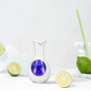 Cold Sake Glass Decanter Glass Wine Decanter with Ice Pocket Cold Sake Chilled - Picture 1 of 12