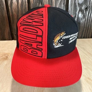 Cappello vintage Baldwin Filters berretto snapback salmone trota pesce Seattle WA anni 90 Covich - Foto 1 di 12