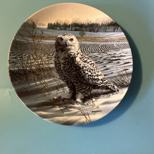Knowles "The Snowy Owl" by Jim Beaudoin Plate 1989 #8244-B - Picture 1 of 1