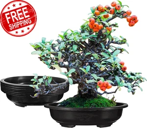 6PCS Bonsai Training Pots Plastic Bonsai Planter Pot Large Deep Flower Pot Oval - Picture 1 of 12