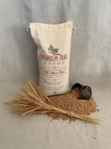 Hard red winter wheat berries 25 lb. - Picture 1 of 8