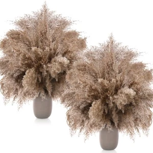 100 Pcs Dried Pampas Grass Decor 17 Inch Bulk Natural Small Pompous Wild Fluf... - Picture 1 of 6