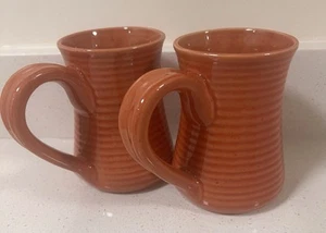 2er Set Park Designs Serrano Persimmone Orange Herbst 16 Unzen Becher - Bild 1 von 11