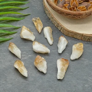 Citrine Point Rough Yellow Crystal Raw Mineral Stone Healing Chakra 4-6cm x 1 - Picture 1 of 7