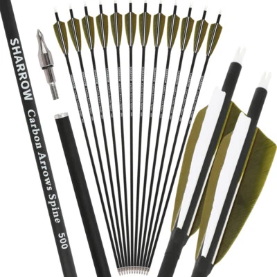 6/12 Archery Carbon Arrows 30" SP500 Feathers Tips Recurve Compound Bow Hunting - Image 1 of 4