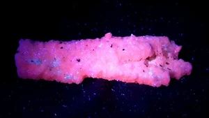 3" Natural MANGANO CALCITE from Racracancha Cerro de Pasco, Peru FLUORESCENT - Picture 1 of 14