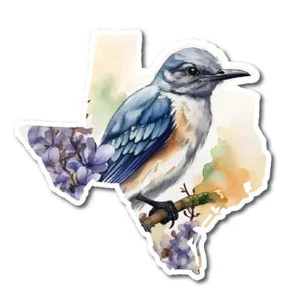 Texas Treasures Northern Mockingbird & Bluebonnet - Picture 1 of 1