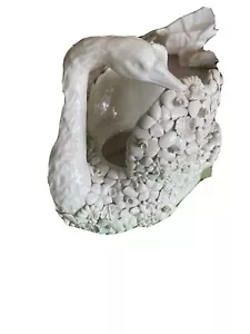 Ardalt Fiori Bianco Vintage Porcellana Cigno Italia 7x9 - Foto 1 di 11