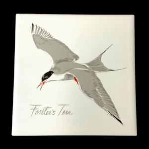 Forsters Tern Ceramic Seabird Tile Trivet 6" Cork Back Hanging Art Nautical - Imagen 1 de 4