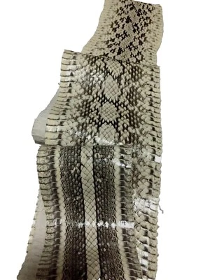 Asia Snake Skin Hide Leather Snakeskin Craft Supply white Glossy  - Image 1 of 4