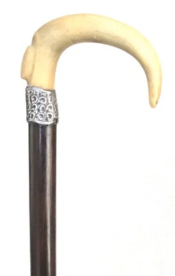 Antiguo bastón de lujo con mango de cuerno de plata esterlina de Inglaterra del siglo XIX de colección Foto 1 de 4
