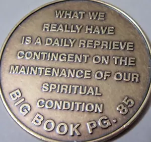 Alcoholics Anonymous Bronzed Medallion We are not cured AA Coin - Picture 1 of 9
