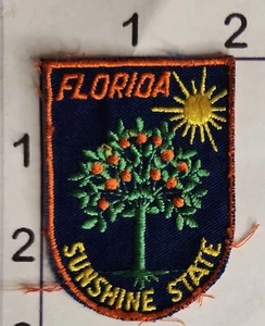 Florida Sunshine State Patch Citrus Tree Vintage Embroidered Salvaged Sew On - Picture 1 of 1