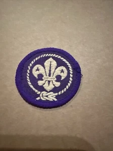 Scout Badge International World Membership Badge Mesh Back - Picture 1 of 2