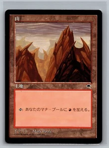 Mountain 343 FBB Magic the Gathering JAPANESE Tempest MTG Mark Poole Vertical - Picture 1 of 2