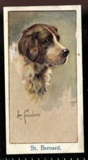 Tobacco Card, Moustafa, LEO CHAMBERS DOGS HEADS, 1924, St Bernard, #12
