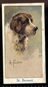 Tobacco Card, Moustafa, LEO CHAMBERS DOGS HEADS, 1924, St Bernard, #12